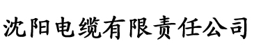 香蕉视频在线观看你懂的电缆厂logo